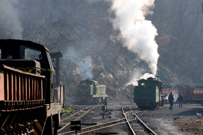 Diesel und Dampf im Schmalspurbahnhof Oskova