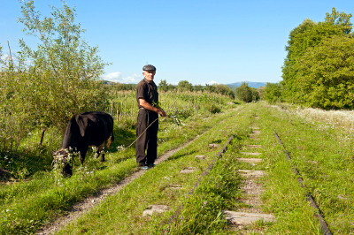 Stillgelegter Streckenabschnitt oberhalb von Irshava